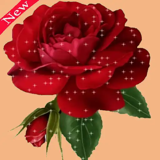 Play WAStickerApps Pink Stickers APK Play WAStickerApps Pink Stickers APK