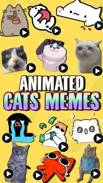 Play WASticker Cats Animated meme  and enjoy WASticker Cats Animated meme with UptoPlay