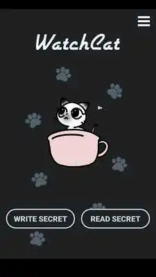 Play WatchCat