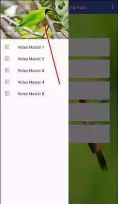 Play Watch Live Cricket - MobileTV
