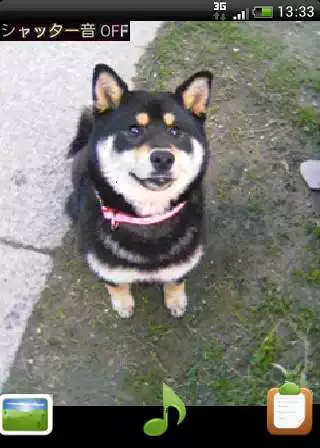 Play Watch me! Camera