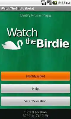 Play WatchTheBirdie