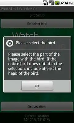 Play WatchTheBirdie
