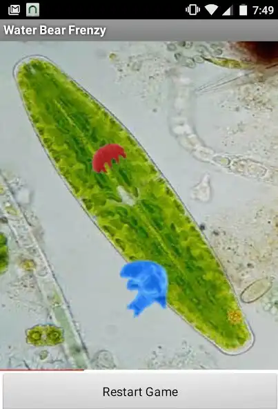 Play Water Bear Frenzy  and enjoy Water Bear Frenzy with UptoPlay