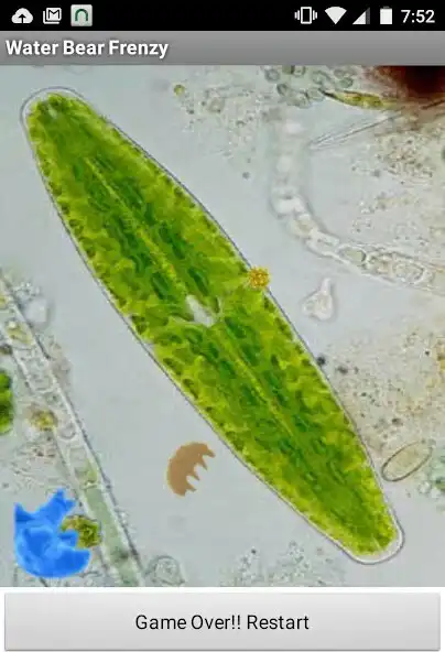 Play Water Bear Frenzy as an online game Water Bear Frenzy with UptoPlay