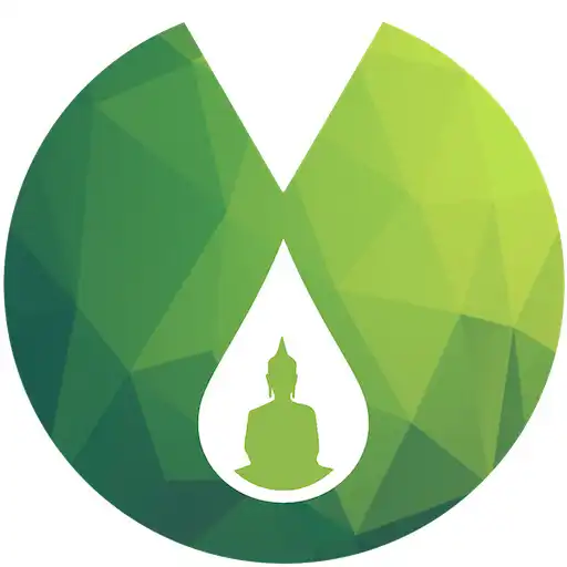 Play Water drops on a lotus leaf APK