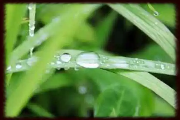 Play Water Drops Wallpapers - Free Play Water Drops Wallpapers - Free