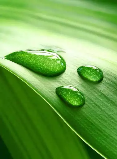 Play Water Drop Wallpapers as an online game Water Drop Wallpapers with UptoPlay