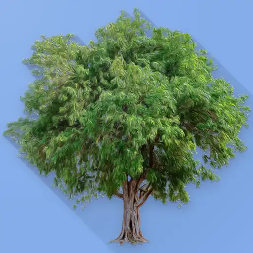 Play Water Effect Premium APK