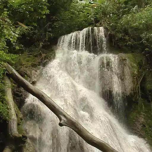 Play Waterfall in greenery APK Play Waterfall in greenery APK