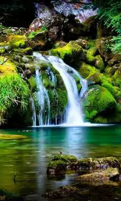 Play Waterfalls Sounds live wallpaper