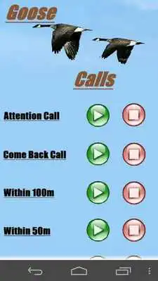 Play Waterfowl Calls