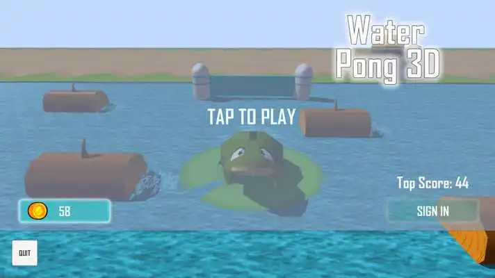 Play Water Froggy