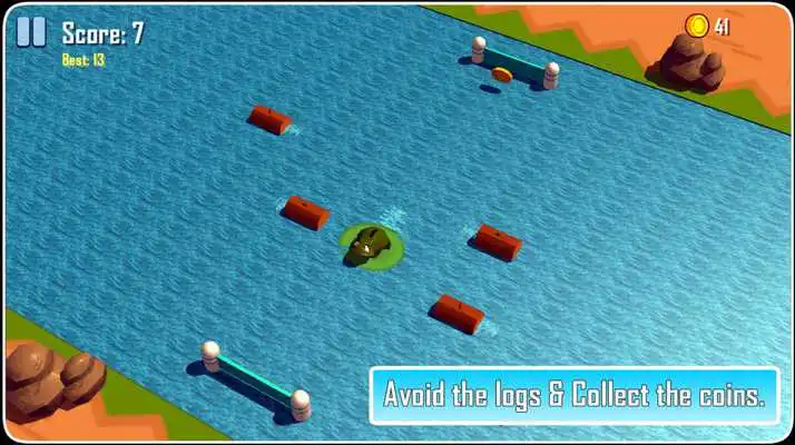 Play Water Froggy