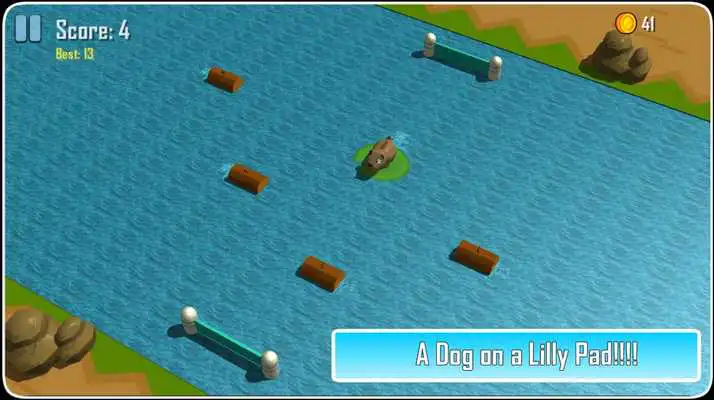 Play Water Froggy