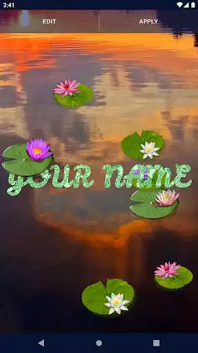 Play Water Lily Live Wallpaper