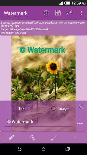 Play Watermark Free