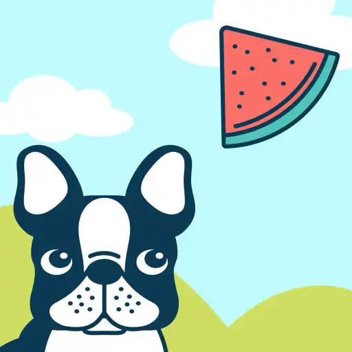 Play Watermelon Catch APK