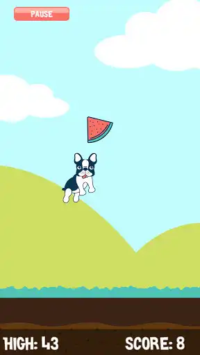 Play Watermelon Catch  and enjoy Watermelon Catch with UptoPlay