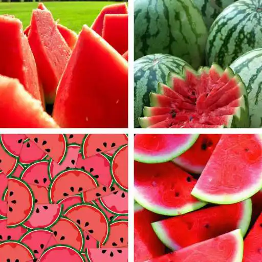 Play Watermelon HD Wallpapers APK Play Watermelon HD Wallpapers APK
