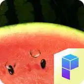 Free play online Watermelon Launcher Theme APK Free play online Watermelon Launcher Theme APK
