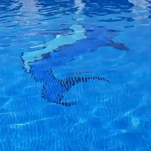 Play Water Ripple Wallpaper Pro APK Play Water Ripple Wallpaper Pro APK