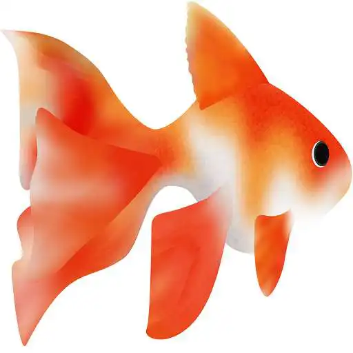 Play Water World Adventure : The Infinite Action Game APK