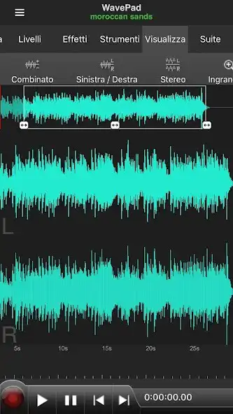Play WavePad Professionale  and enjoy WavePad Professionale with UptoPlay