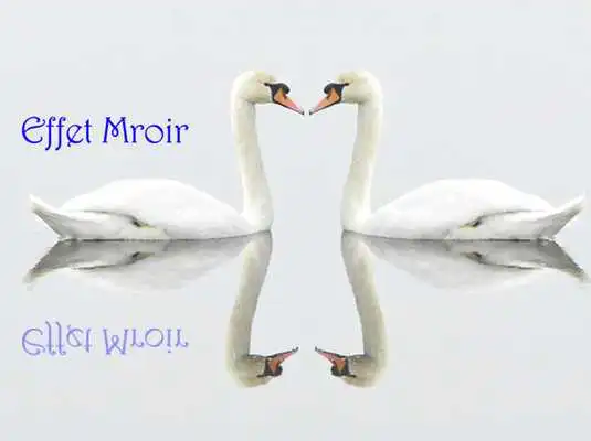 Play Wave photo mirror effect pro (Fun Mirror Effets)