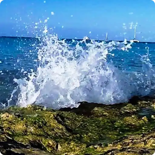 Free play online Waves Live Wallpaper HD 20 APK Free play online Waves Live Wallpaper HD 20 APK
