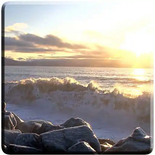 Run free android online Waves on Rocks Video Wallpaper APK
