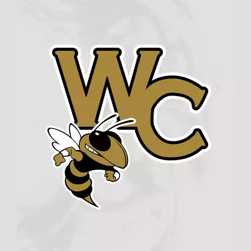 Play Wayne County GA Schools APK