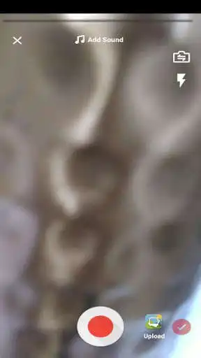 Play Waz De Scene as an online game Waz De Scene with UptoPlay