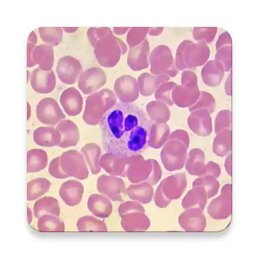 Play WBC Counter - leucocytes differential counter APK Play WBC Counter - leucocytes differential counter APK