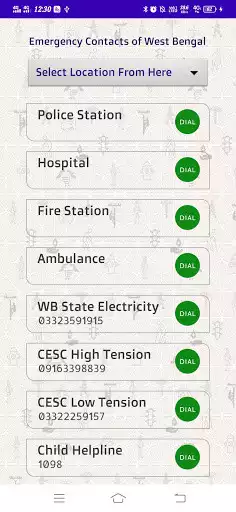Play WB Emergency Contacts as an online game WB Emergency Contacts with UptoPlay