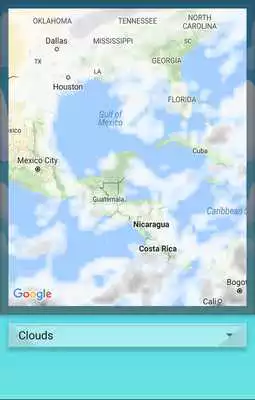 Play Weatherbids