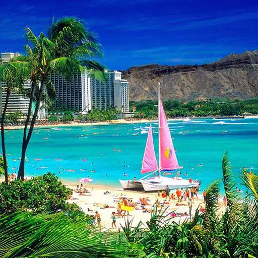 Free play online Weather Honolulu Sun  APK
