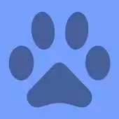 Free play online Weather Kittens APK Free play online Weather Kittens APK