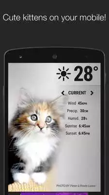Play Weather Kittens