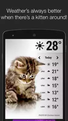Play Weather Kittens