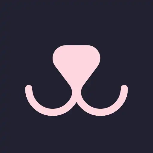 Play WeatherPaw: Dog Walking  Care APK