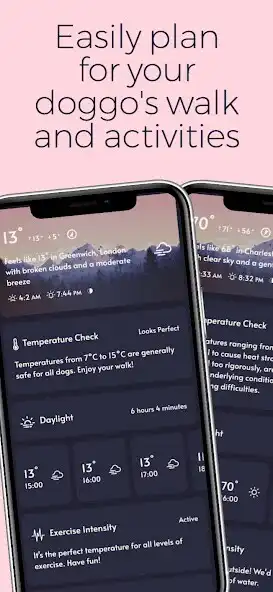Play WeatherPaw: Dog Walking  Care  and enjoy WeatherPaw: Dog Walking  Care with UptoPlay