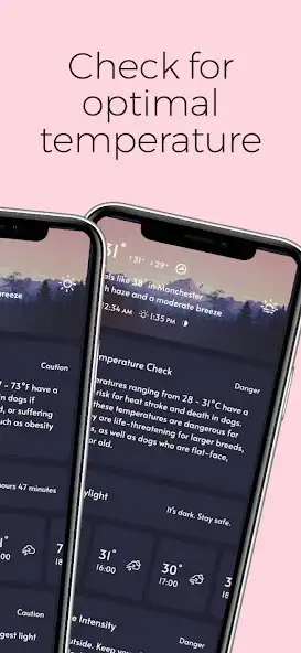 Play WeatherPaw: Dog Walking  Care as an online game WeatherPaw: Dog Walking  Care with UptoPlay