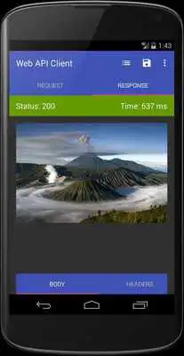 Play Web API Client Play Web API Client