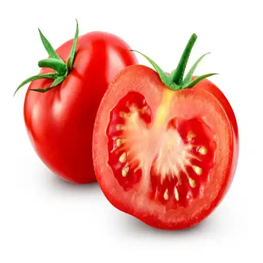 Play WEBPOS-TOMATO APK