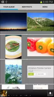 Play Web Scrapbook