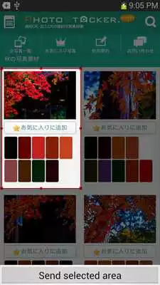 Play Web Scrapbook
