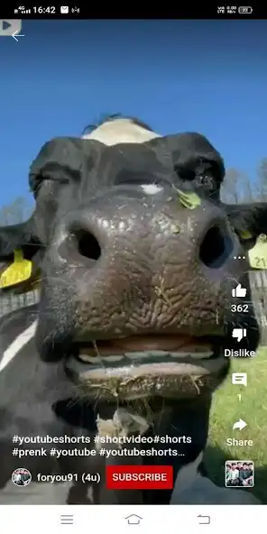 Play Web tube - A Video App as an online game online Web tube - A Video App with UptoPlay Play Web tube - A Video App as an online game Web tube - A Video App with UptoPlay