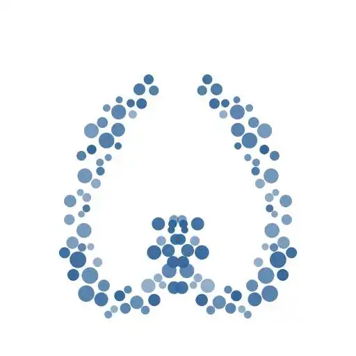 Play webview APK