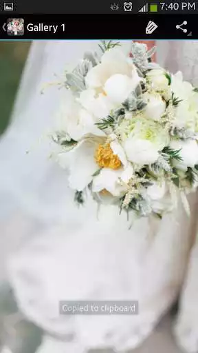 Play Wedding Bouquets as an online game online Wedding Bouquets with UptoPlay com.weddingbouquets.devoscar.app Play Wedding Bouquets as an online game Wedding Bouquets with UptoPlay